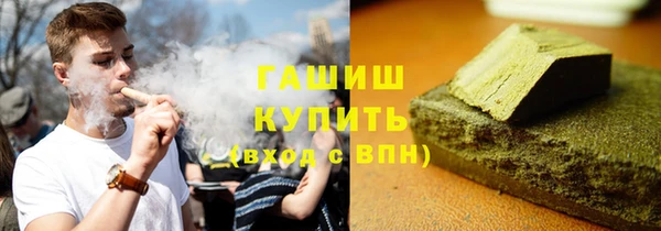 шишки Надым