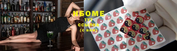 шишки Надым