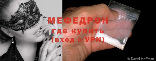 шишки Надым