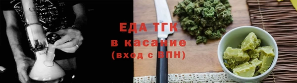 шишки Надым
