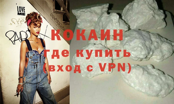 шишки Надым