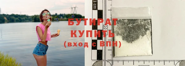 шишки Надым