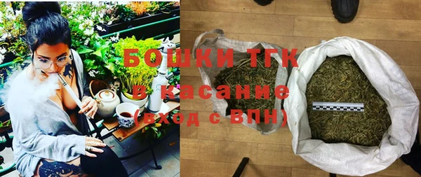 шишки Надым