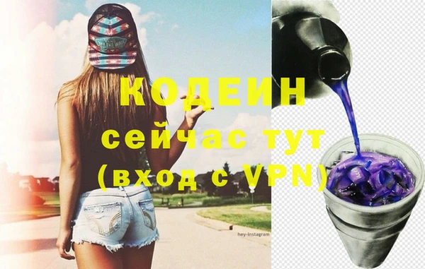 шишки Надым