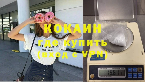 шишки Надым