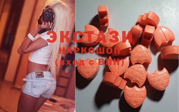 шишки Надым