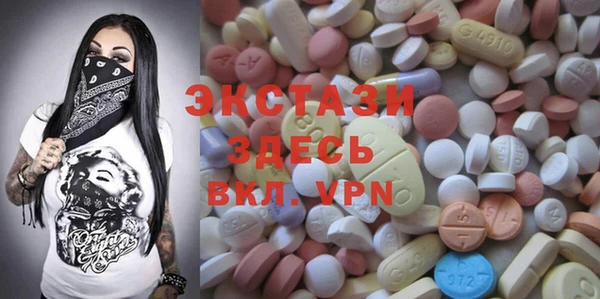 шишки Надым