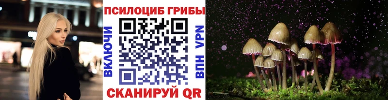 закладки  Котово  Галлюциногенные грибы прущие грибы 