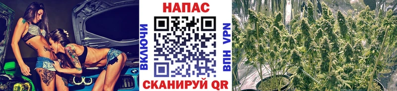 Бошки Шишки AK-47  сколько стоит  Котово 